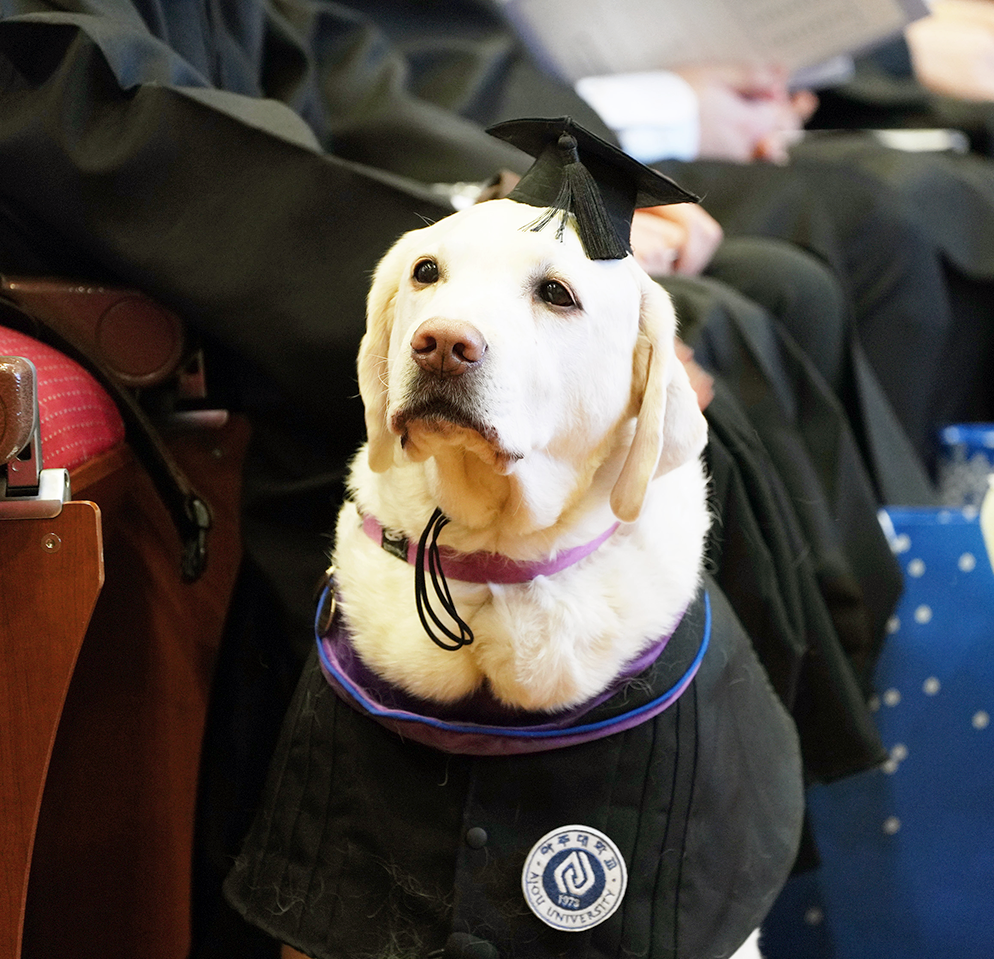 [Instagram] 명예졸업생 눈송이