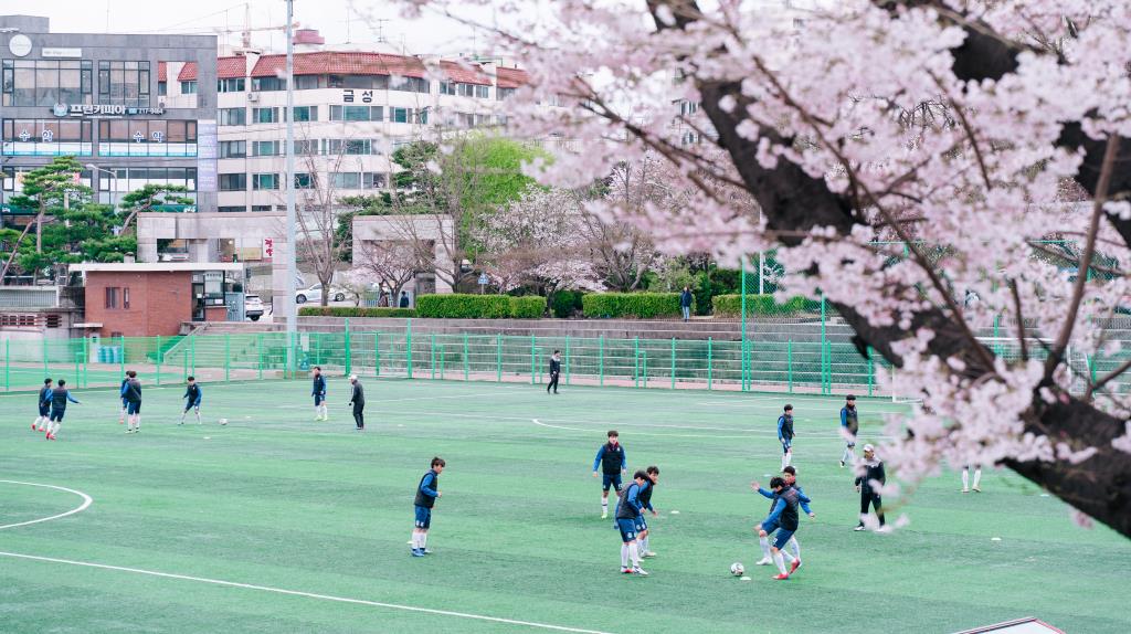 축구부 선수 7명, 프로리그 비롯한 성인팀 진출